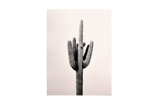 affiche Cactus
