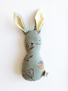 lapin et carotte